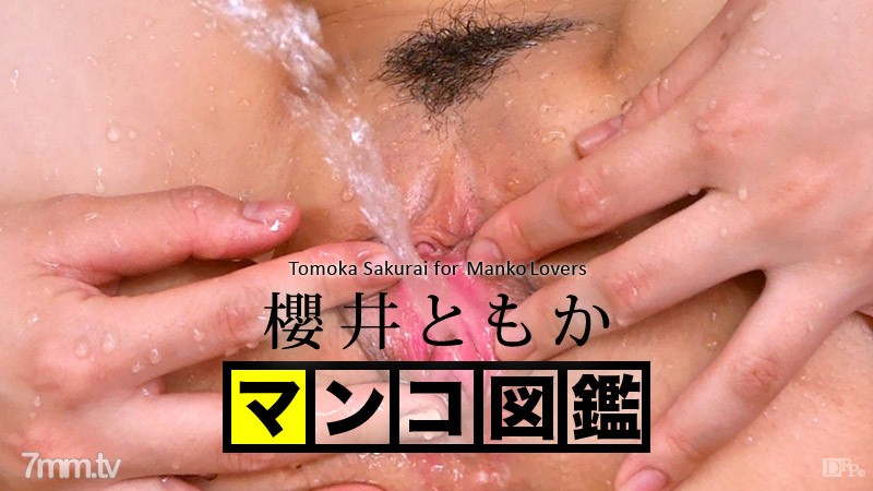 121515-001 หนังสือภาพหี Tomoka Sakurai Tomoka Sakurai