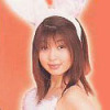 Nakayama Rabbit