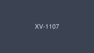 XV-1107 新人畢業登場 18歲8頭！南紗綾 - 南紗彩