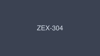 ZEX-304 打！ ！連續12次中出濱崎蓮（18歲） - 浜崎戀